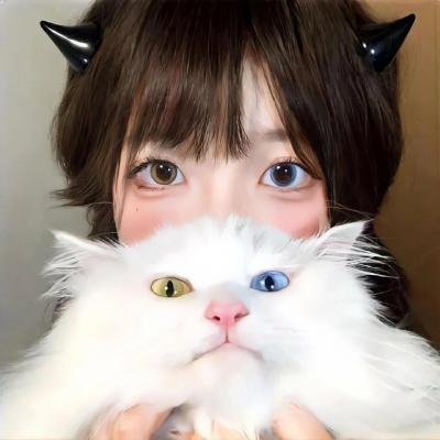 旋风客 在线观看